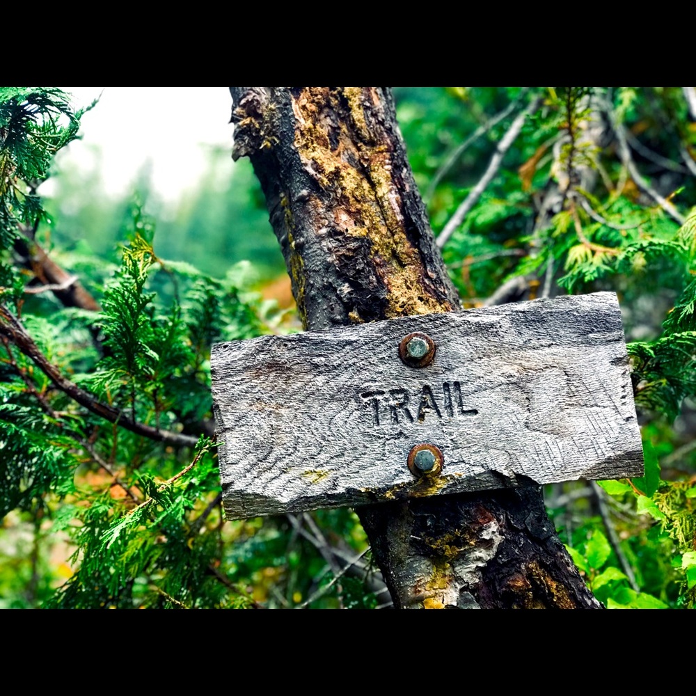 Meet your Posher, Patty